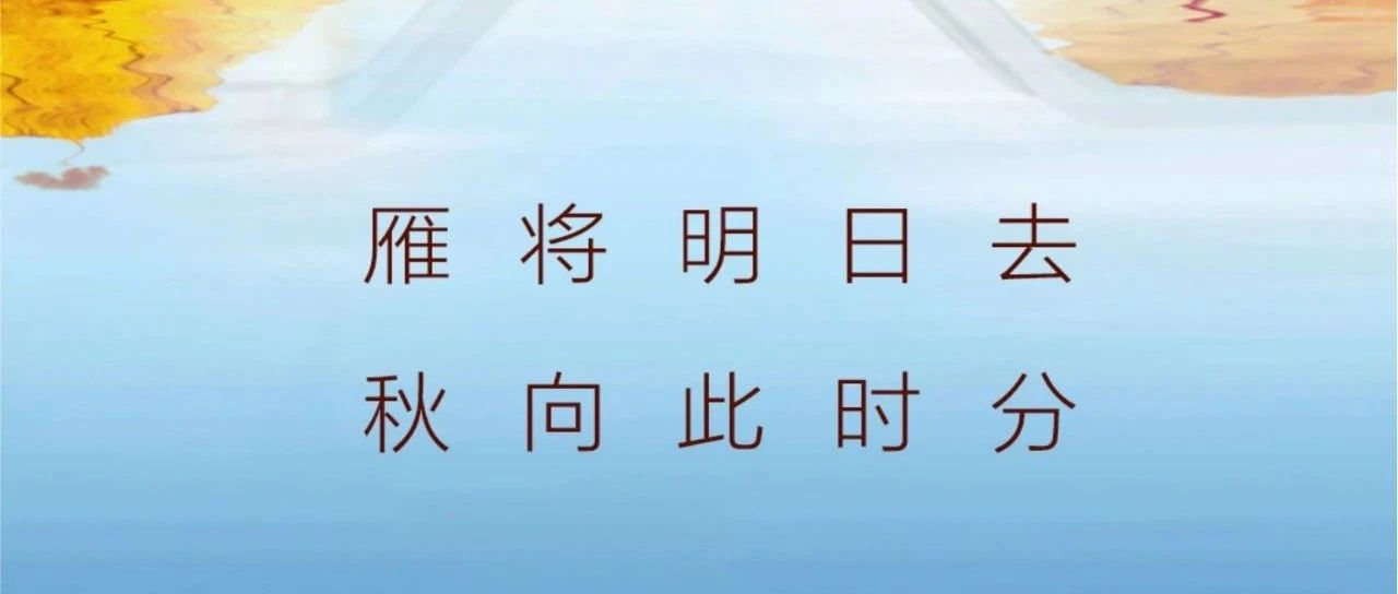 秋分 | 雁將明日去  秋向此時(shí)分！
